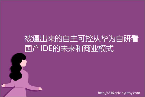 被逼出来的自主可控从华为自研看国产IDE的未来和商业模式
